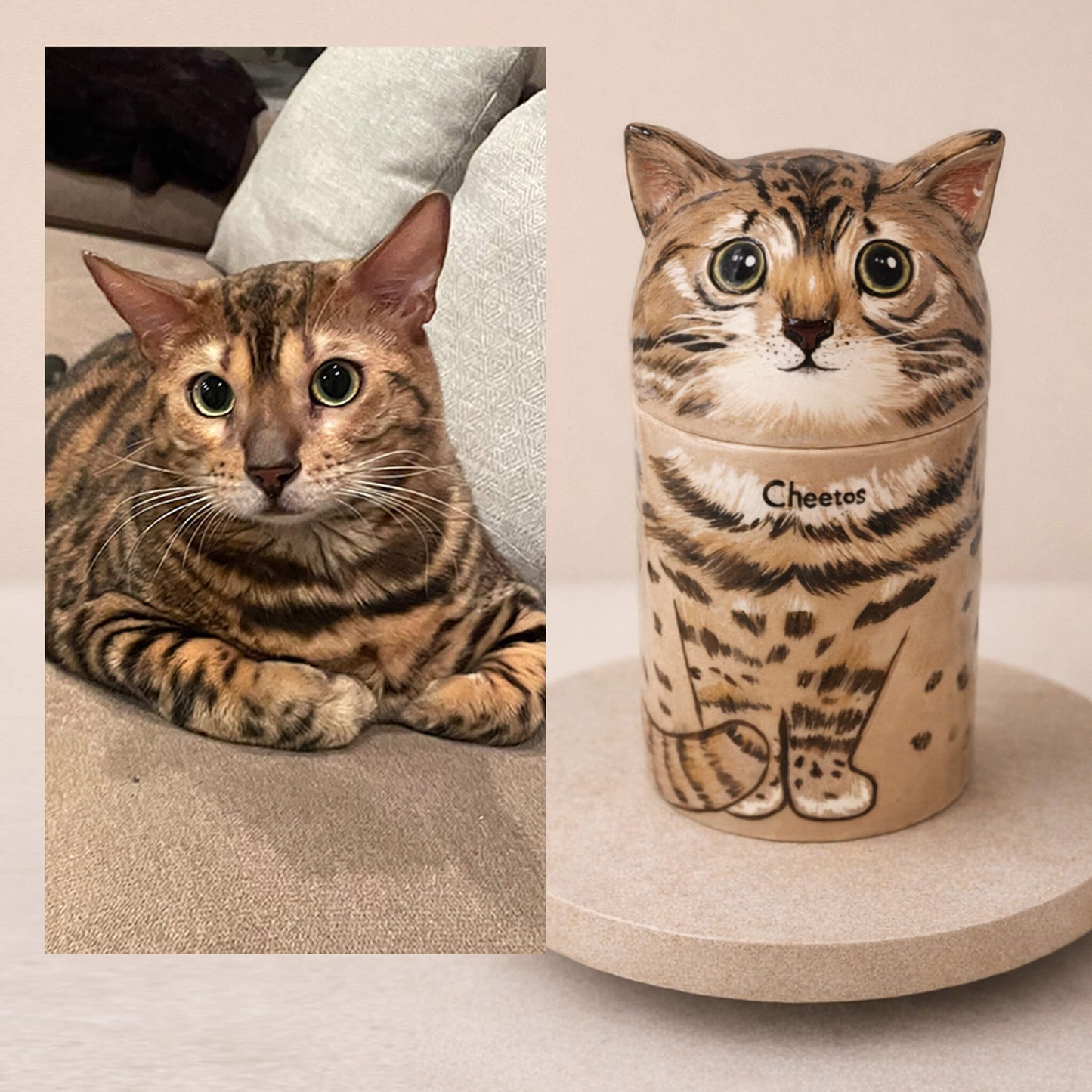 Custom cat memorial urn from photo comparison - Real Bengal cat vs porcelain tribute
